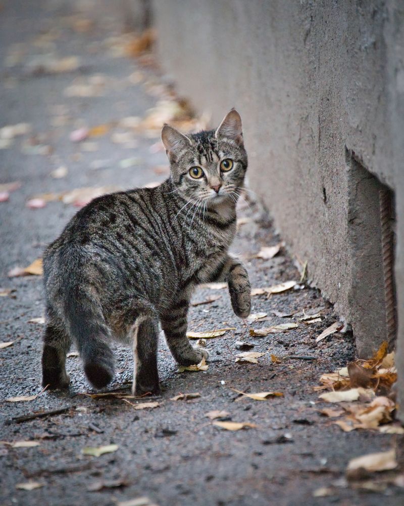 Photograph by Евгения Прокопович