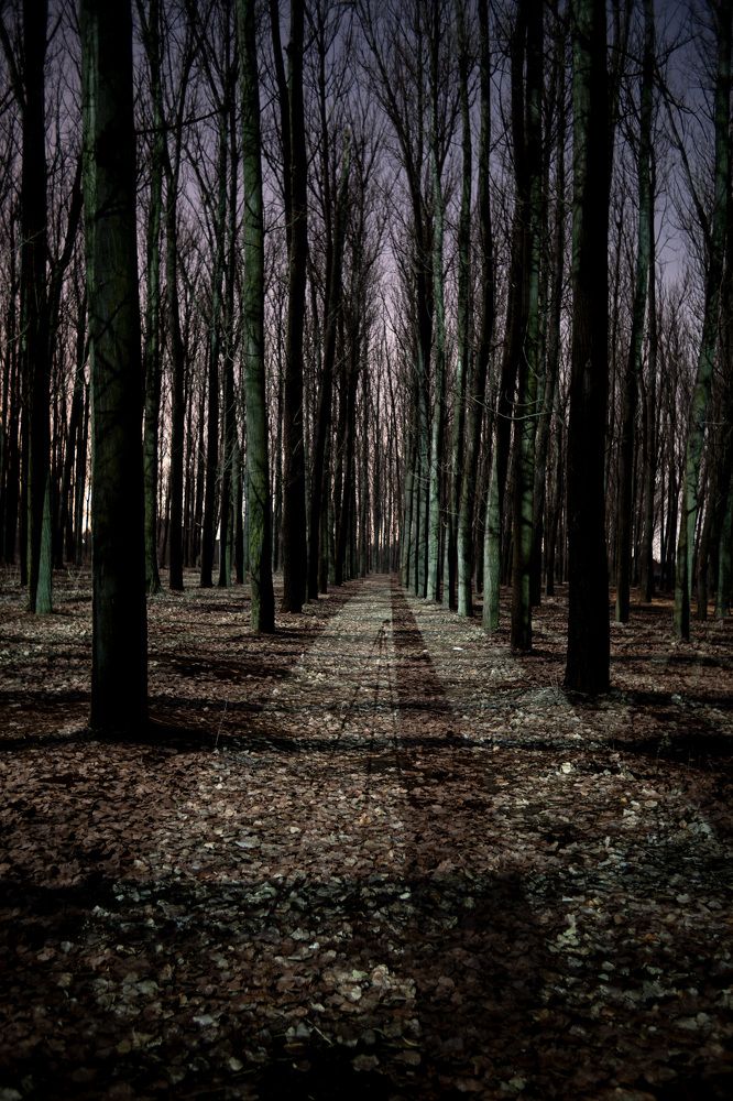 Photograph by Вадим Ашмаров