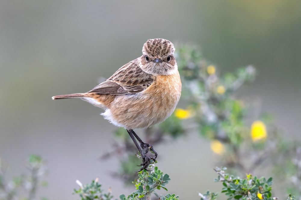 Photograph by Eren Aksoylu