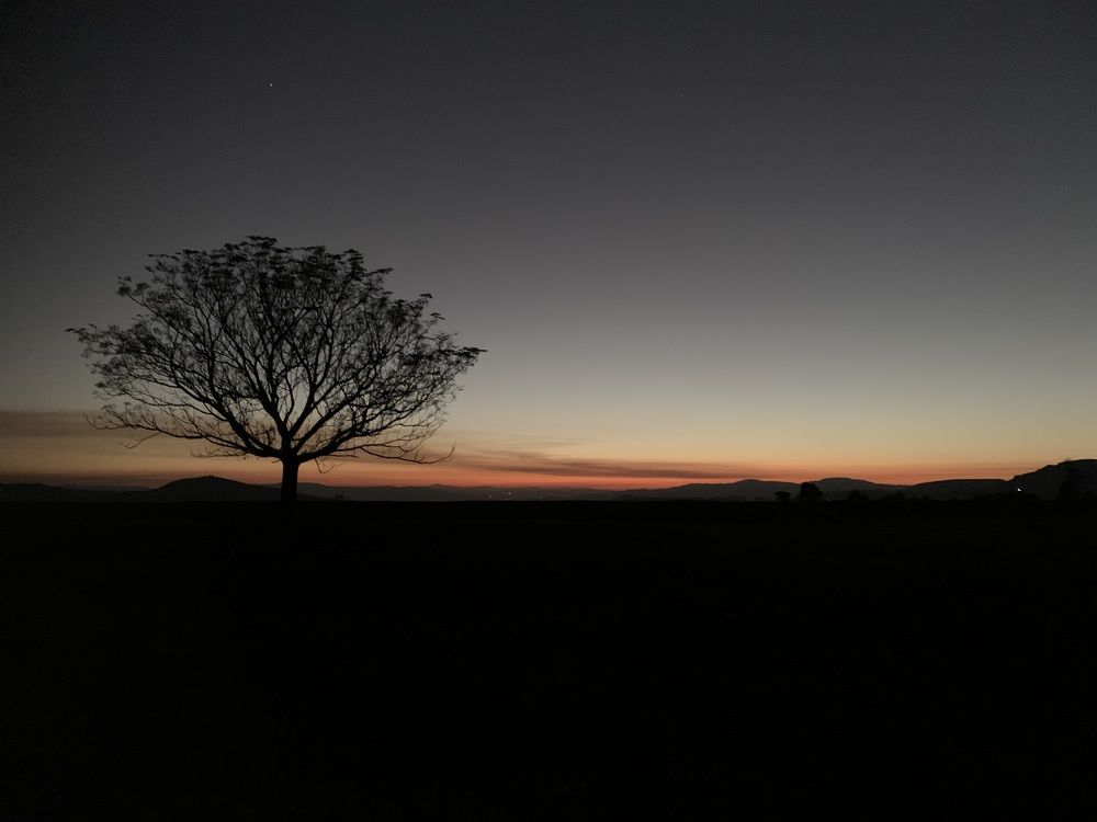 Фотография автора Grant Botha