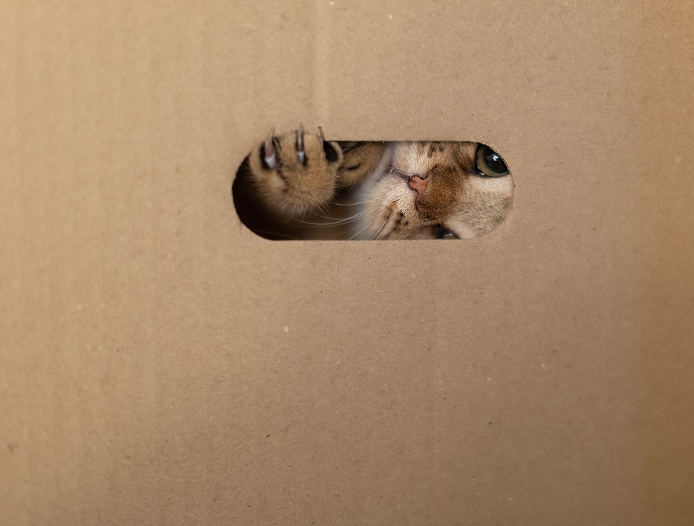 Photograph by Екатерина Крыга