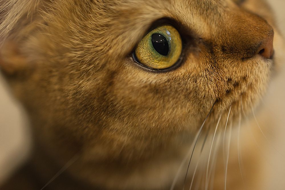 Photograph by Екатерина Крыга