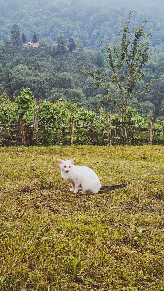 Photograph by Efnan Elmas