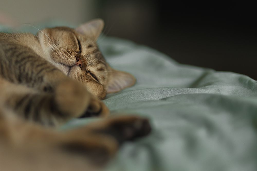 Photograph by Екатерина Крыга