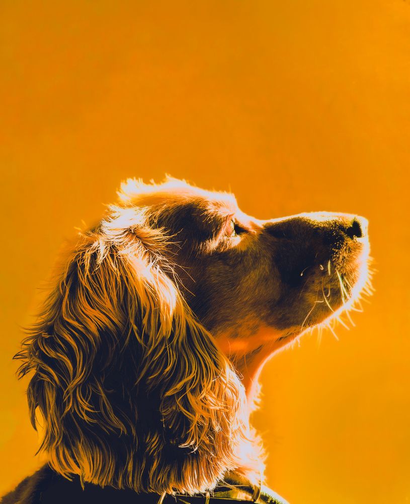 Photograph by Rakesh