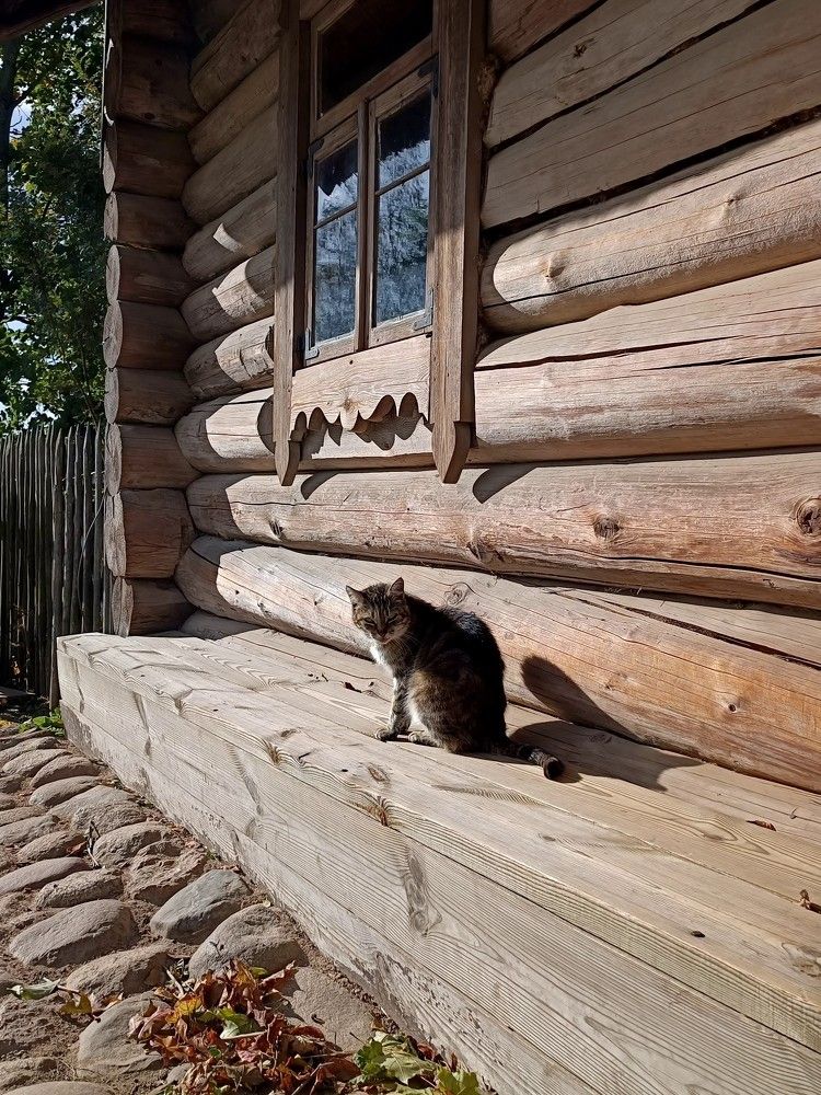 Photograph by Татьяна