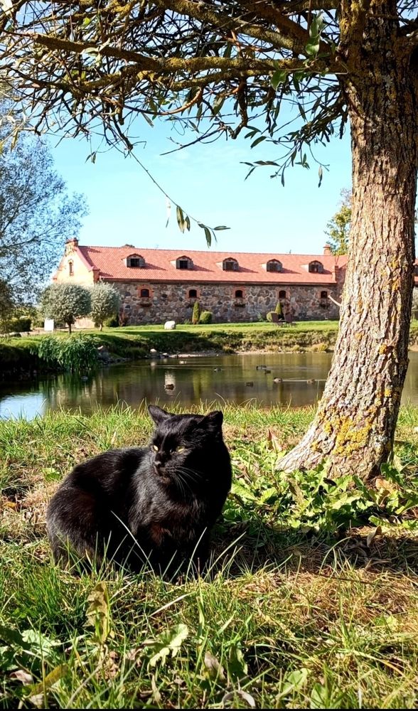 Photograph by Татьяна