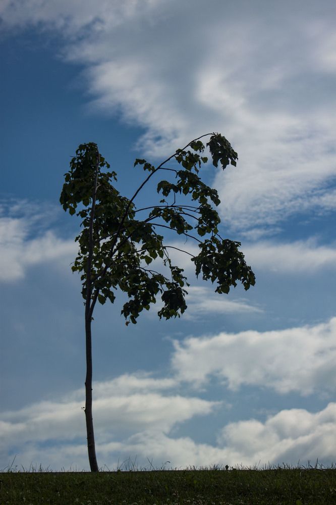 Photograph by Владислав Капанов