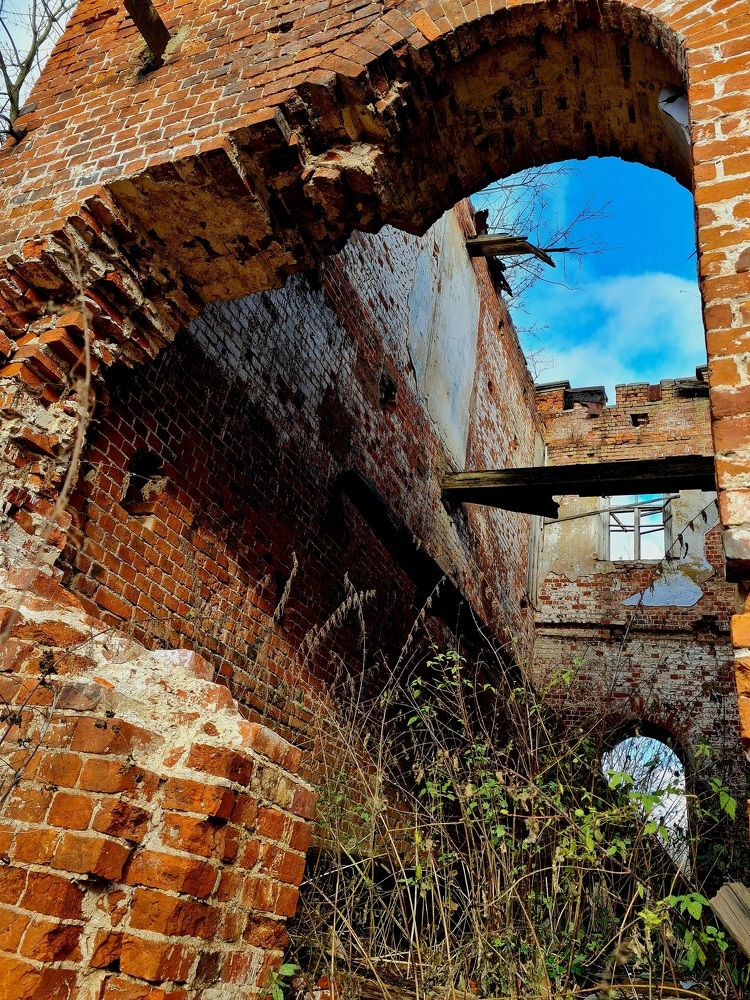 Photograph by Ирина Синягина