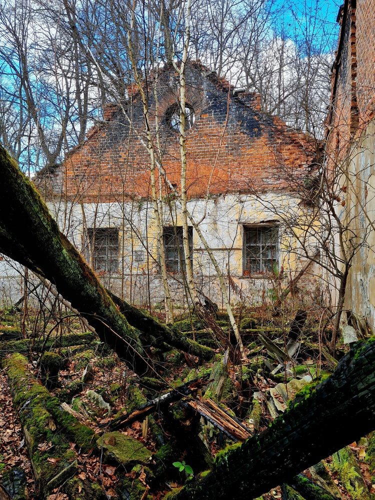 Photograph by Ирина Синягина