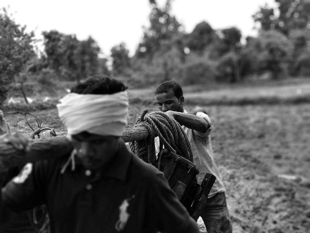 Photograph by lavi dhurve