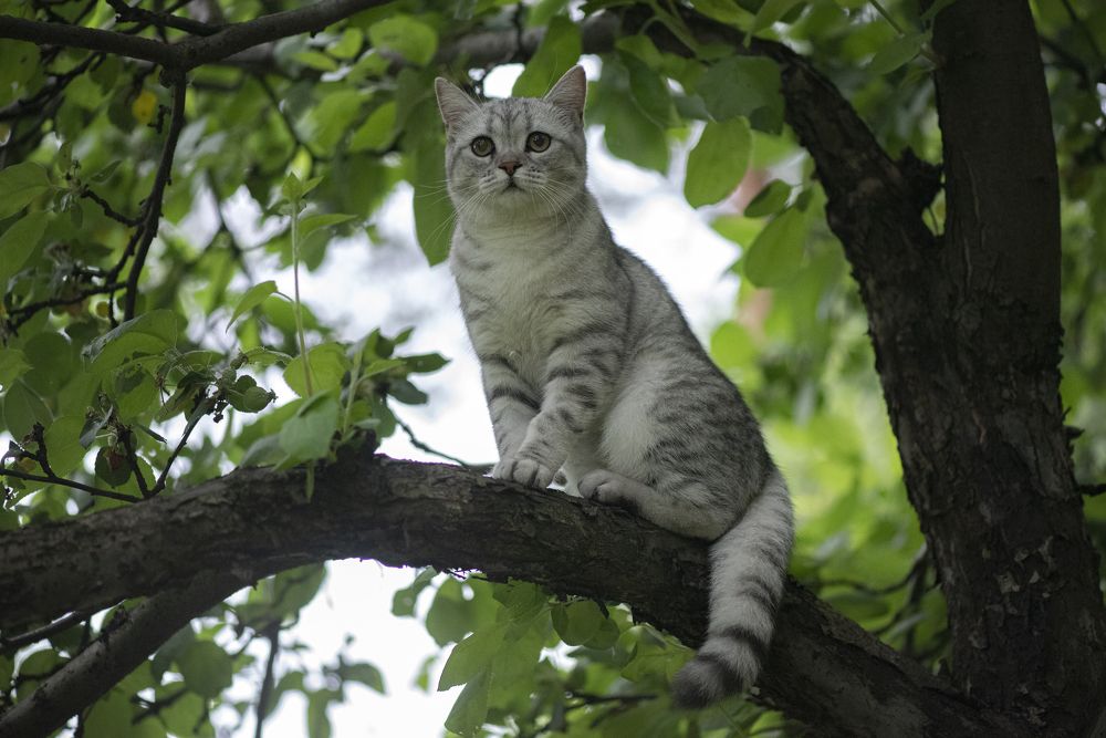 Photograph by Сергей Белов