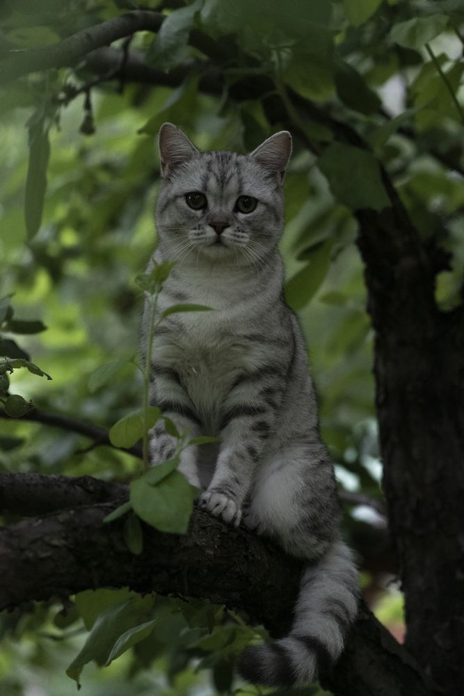 Photograph by Сергей Белов