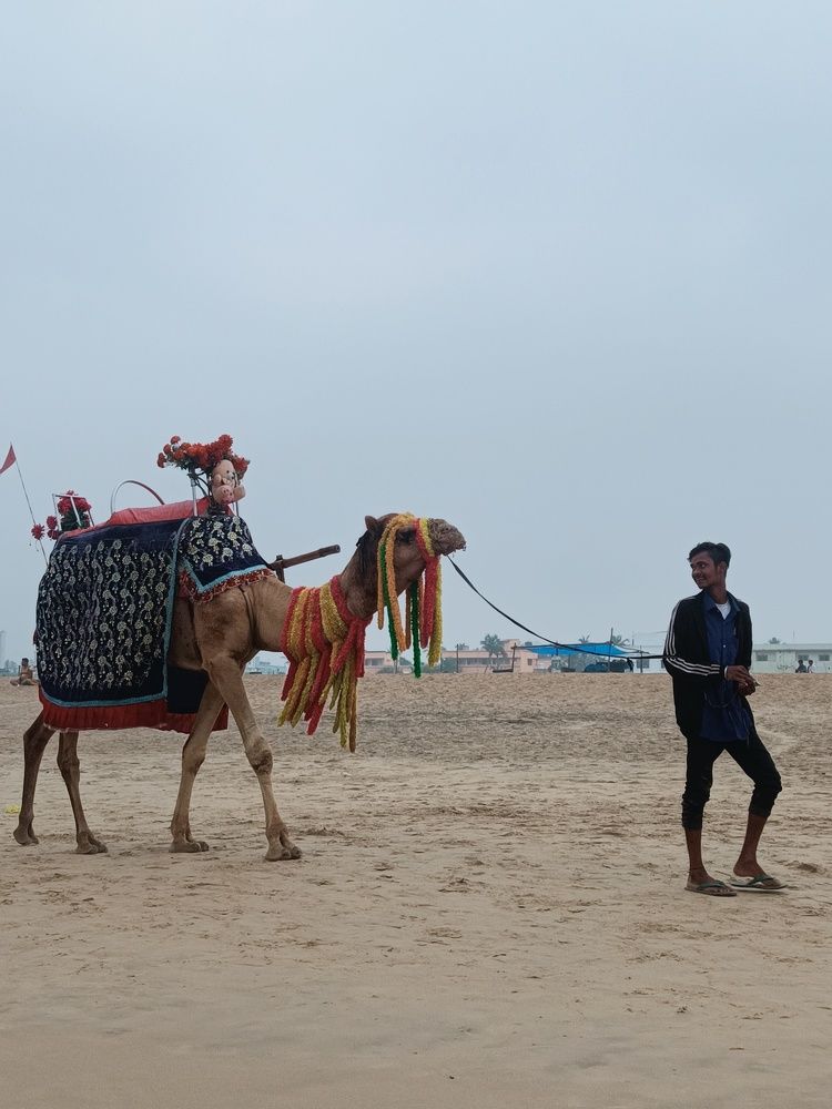 Photograph by lavi dhurve