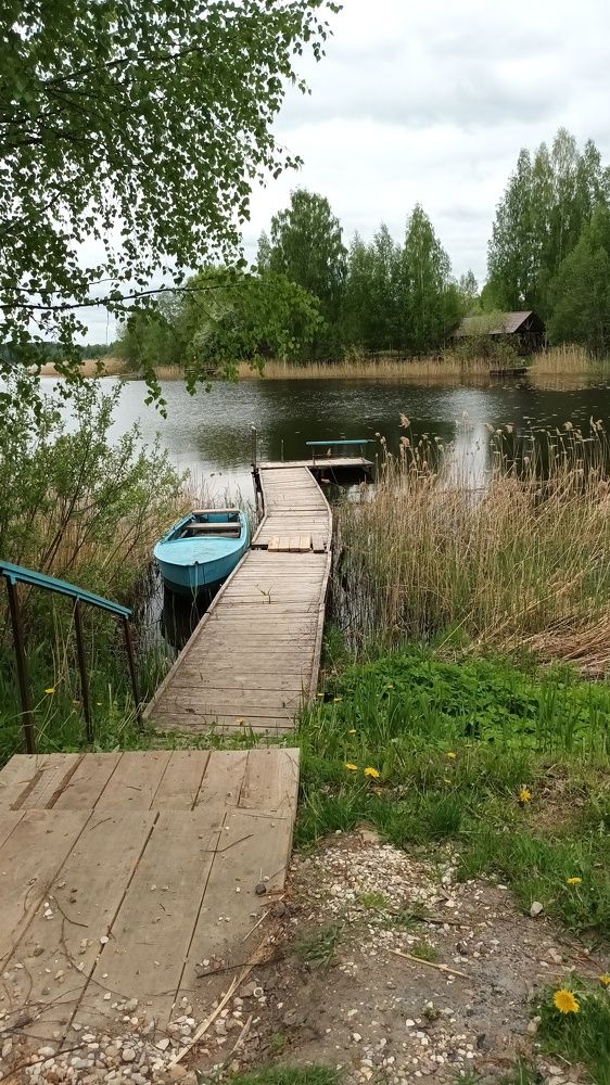 Дача художников