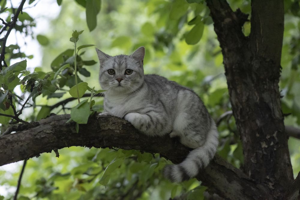 Photograph by Сергей Белов