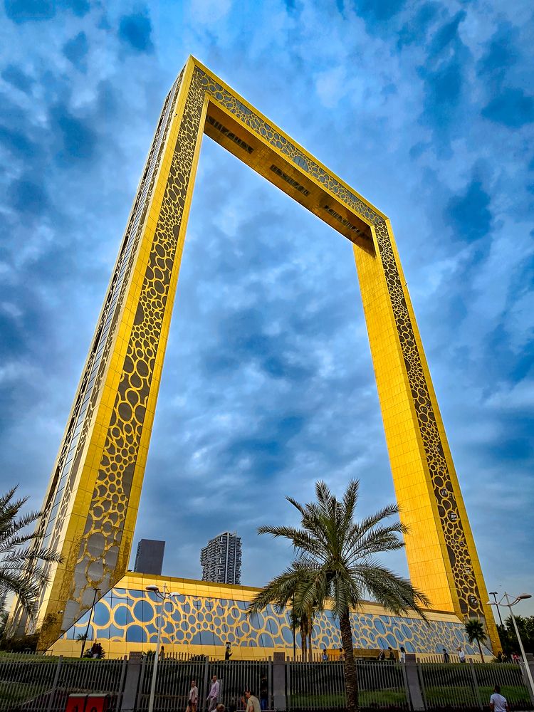 Photograph by Dr Manoj M Kumar