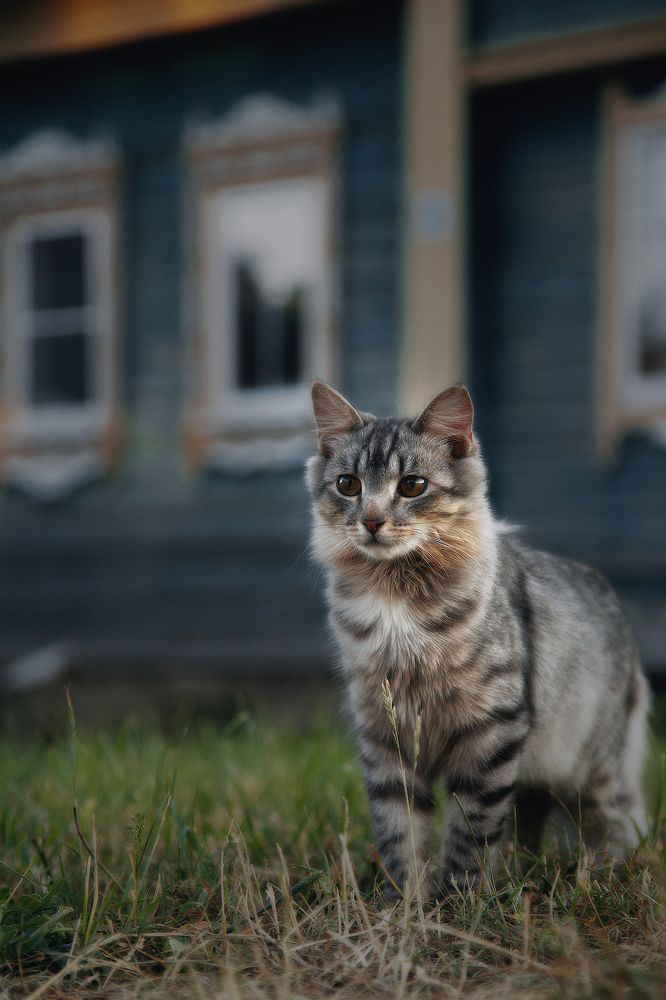 Photograph by Макаров Роман