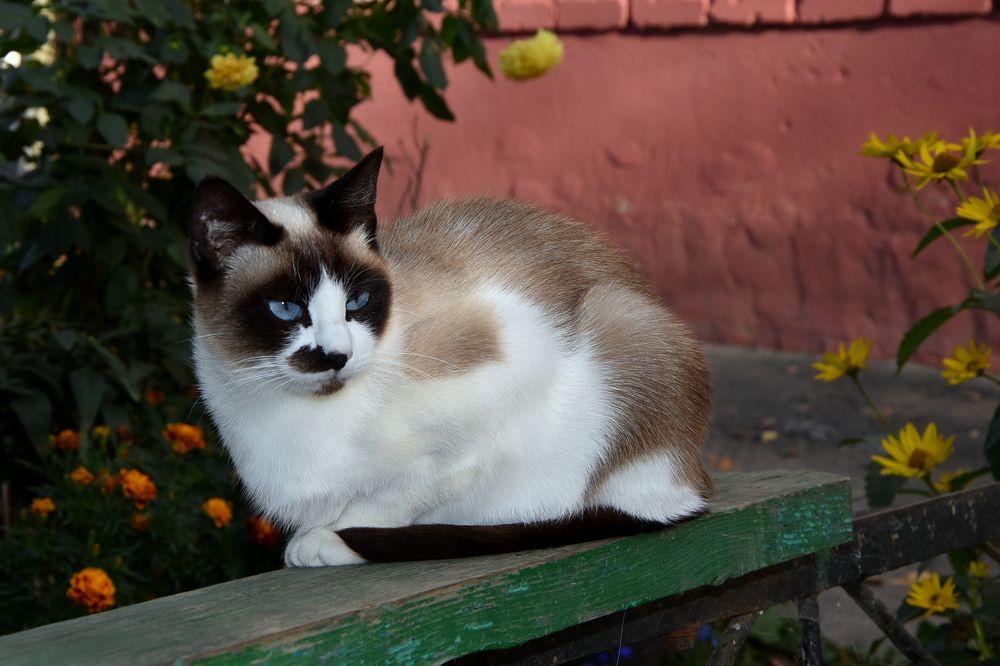 Photograph by Dimon Grinih