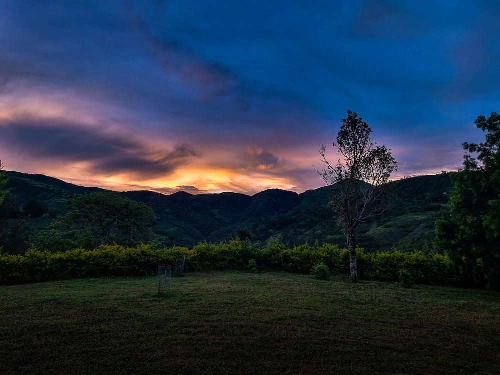 Photograph by Dr Manoj M Kumar