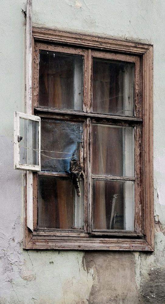 Фотография автора Евгений Андросов