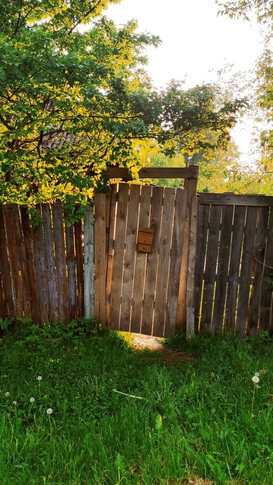 Photograph by Алексей Коровин