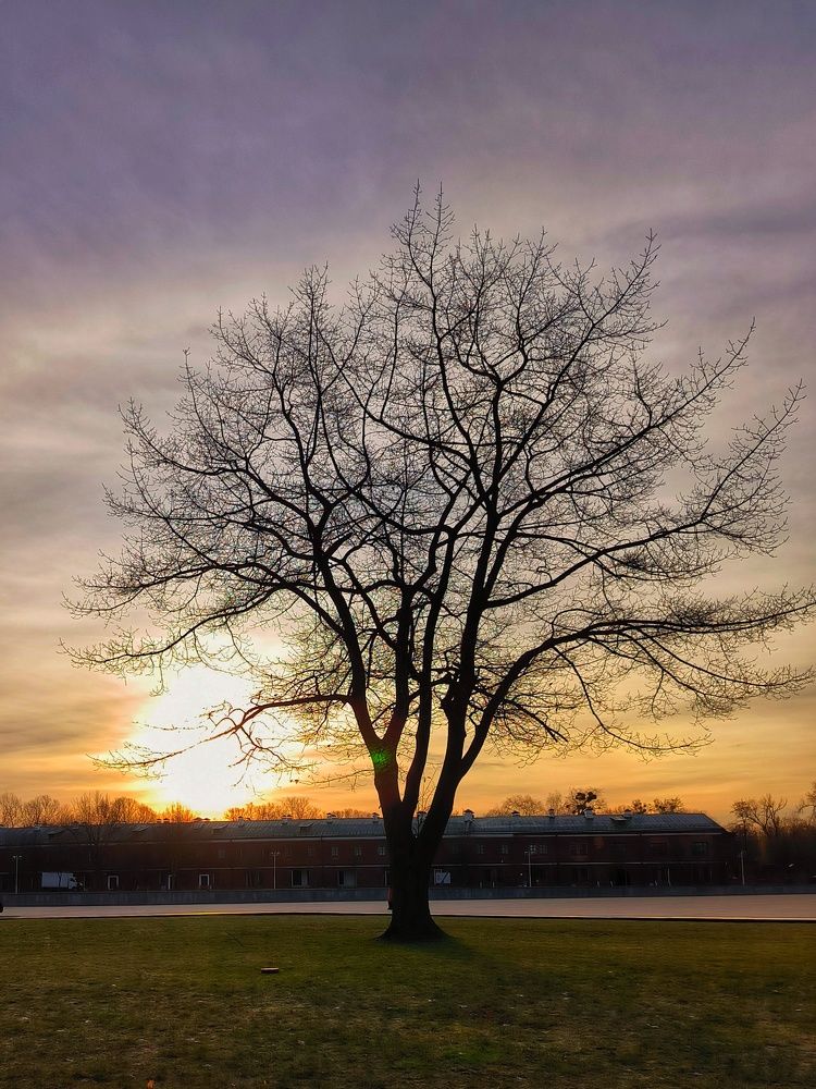 Photograph by Юлия Бурминская