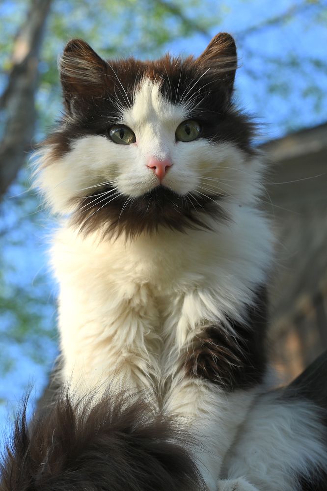 Photograph by ARTEM KORZHUKOV