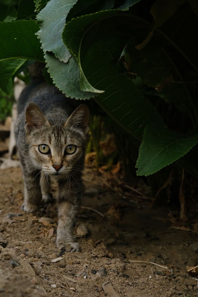 Photograph by Алёна Дёмочкина