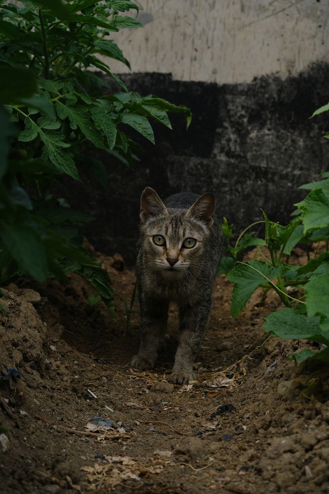 Photograph by Алёна Дёмочкина