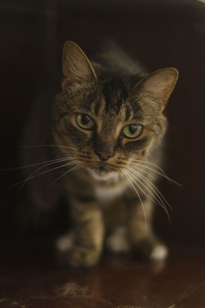 Photograph by Мария Мбуела