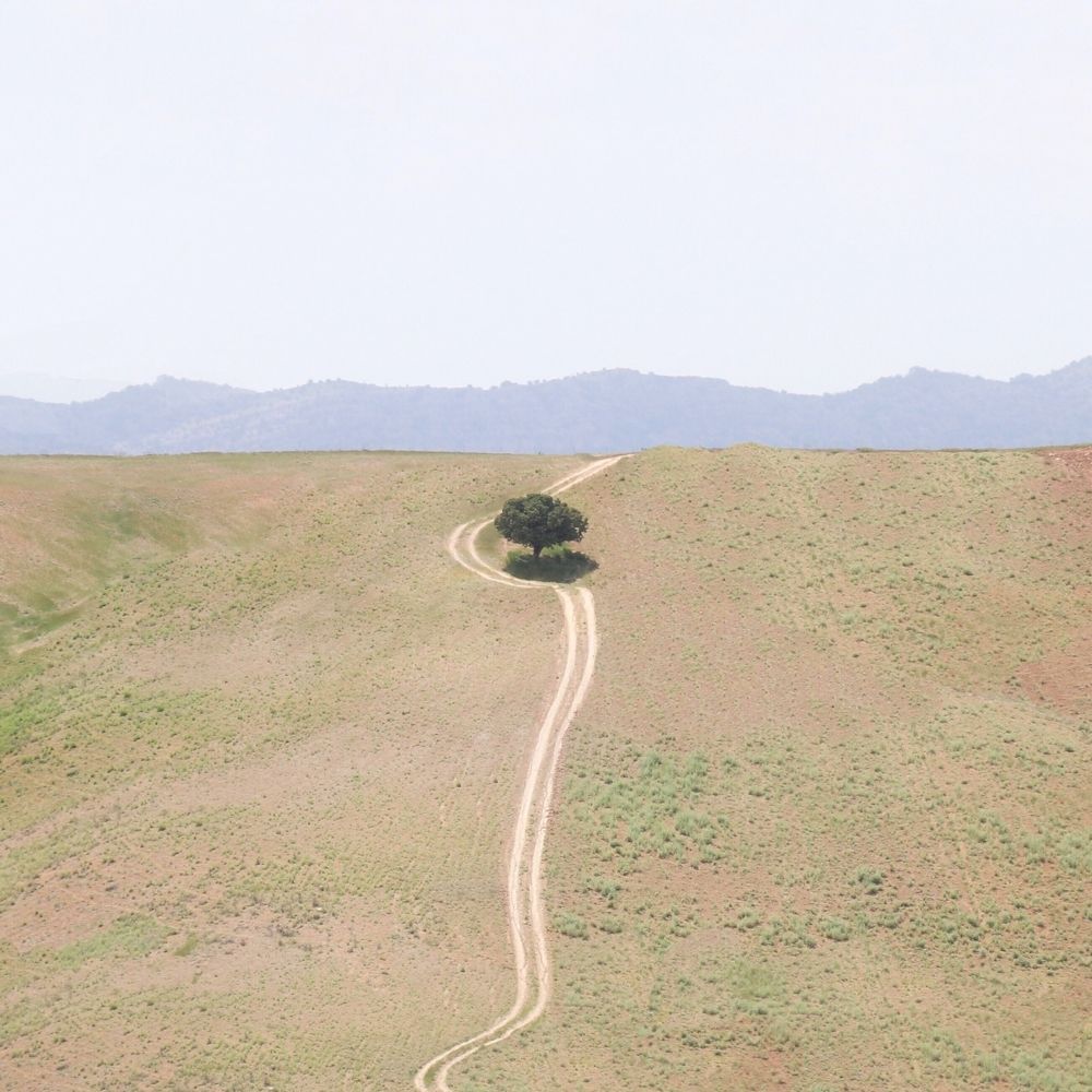 Фотография автора Alireza Bagheri Sani