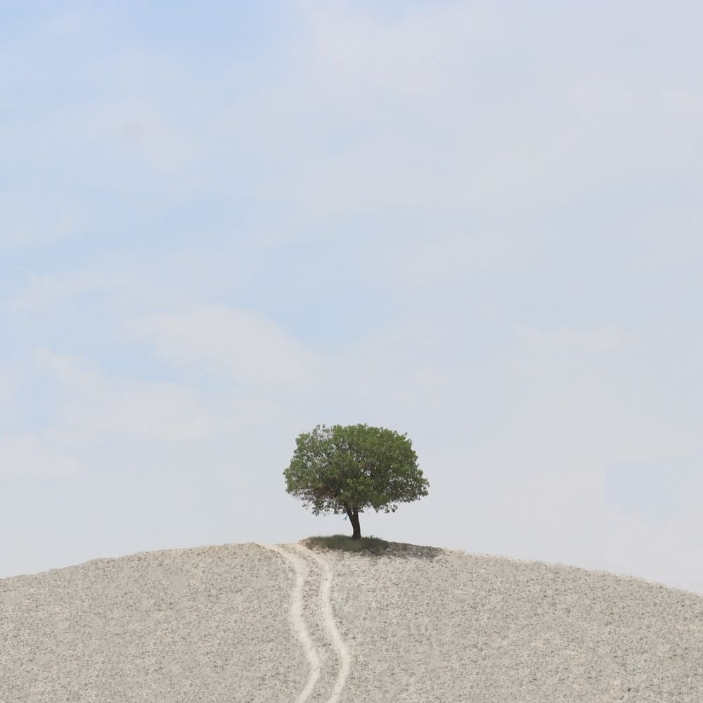 Фотография автора Alireza Bagheri Sani