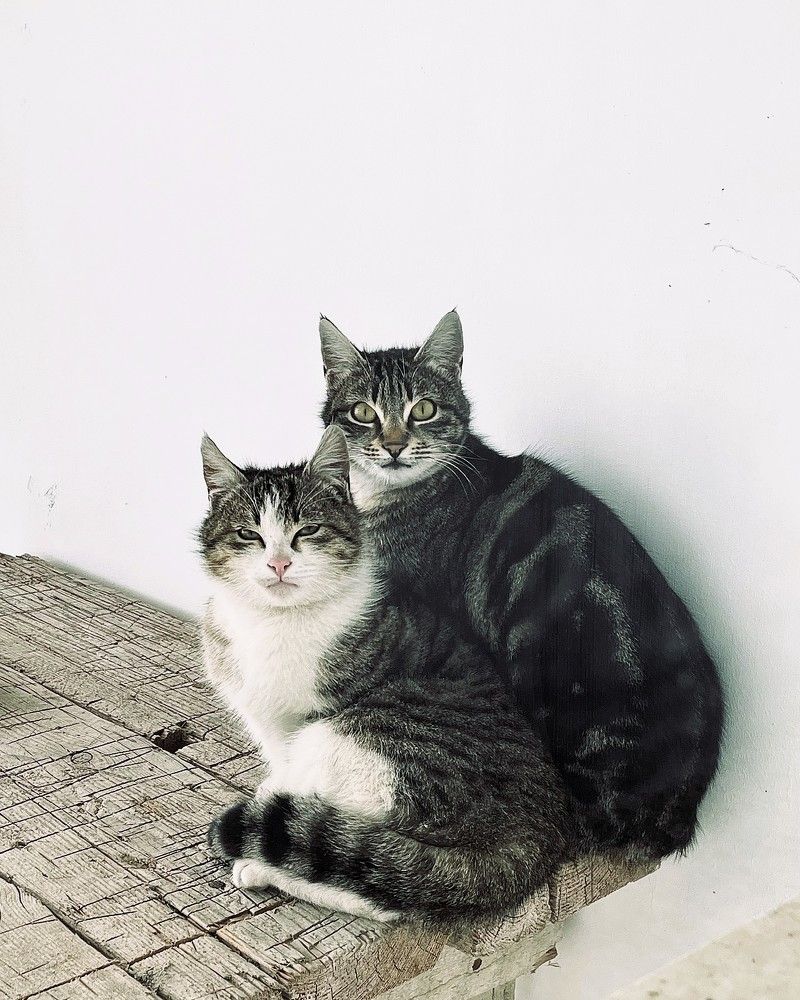 Photograph by Iuliia Akhulkova