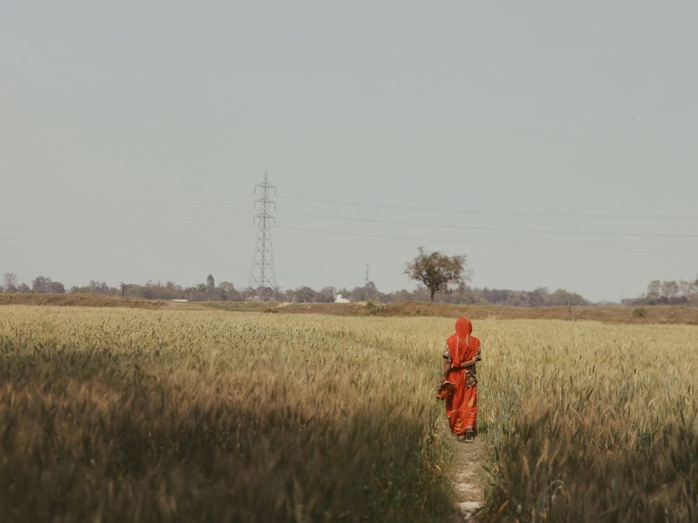 Photograph by shivank pandey