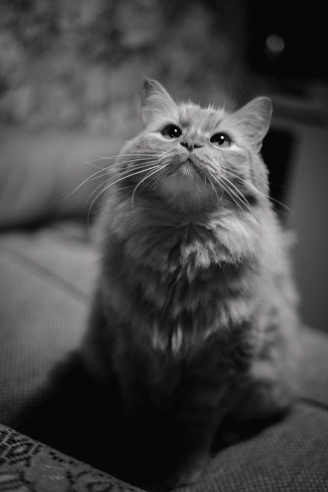 Photograph by Александра Кропивка