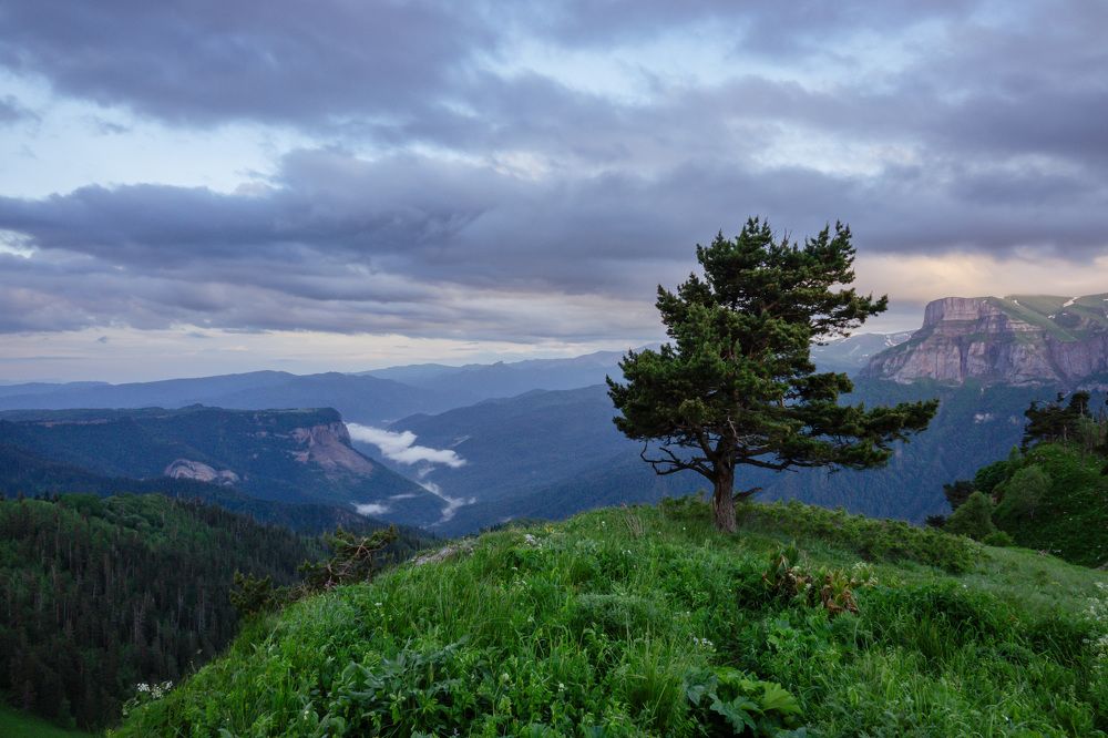 Photograph by Шишкалов Константин