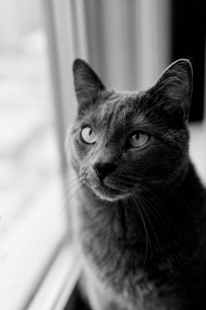 Photograph by Харламов Павел