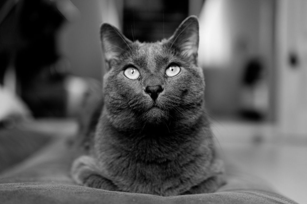 Photograph by Харламов Павел