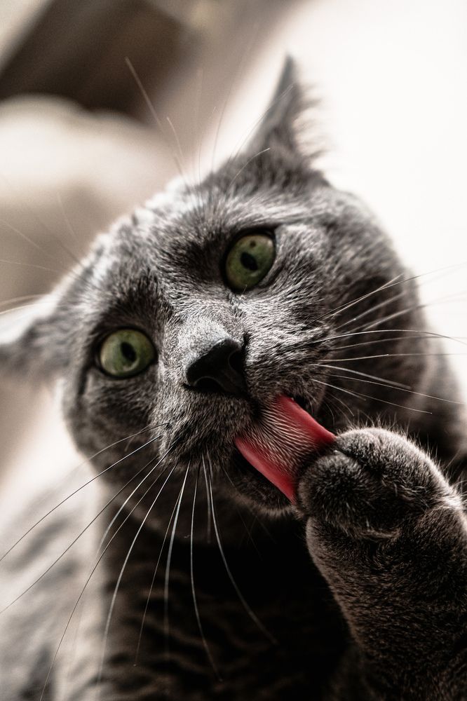 Photograph by Харламов Павел