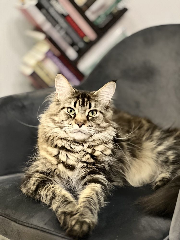 Photograph by Татьяна Собина