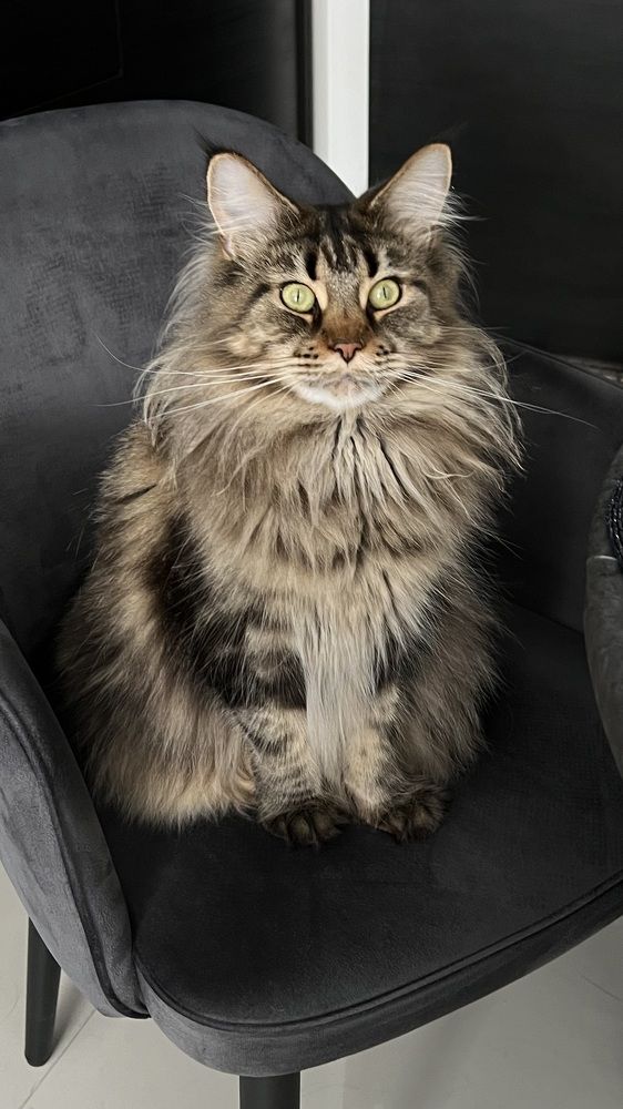 Photograph by Татьяна Собина