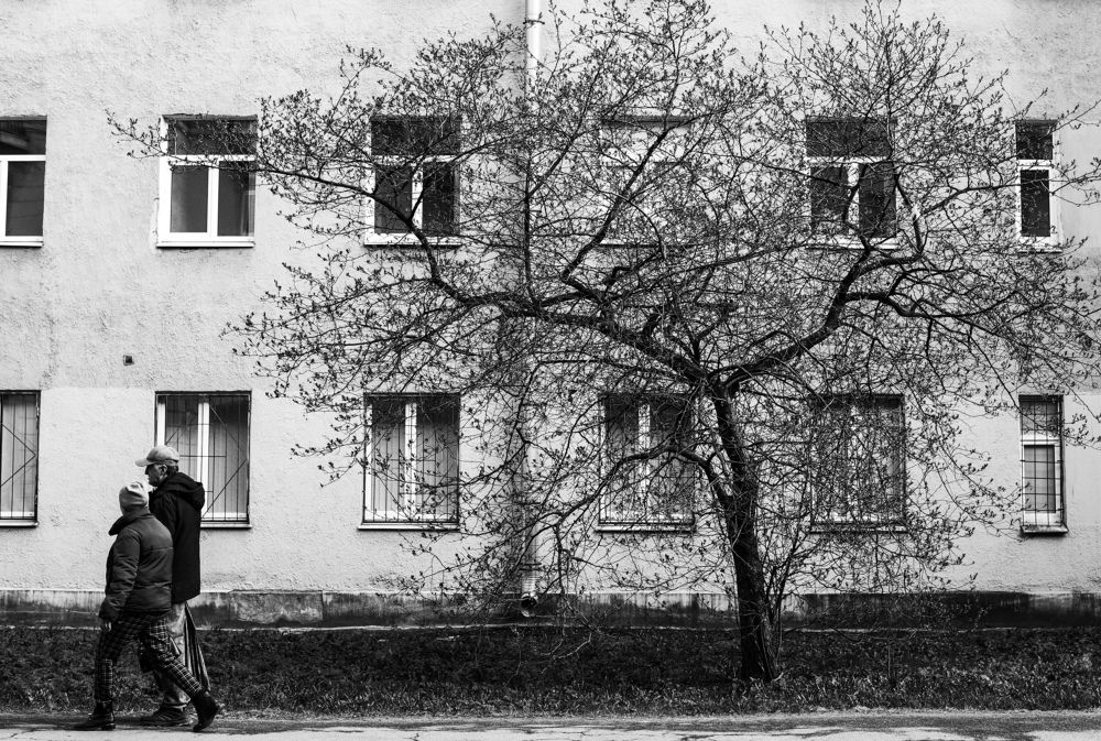 Photograph by Харламов Павел