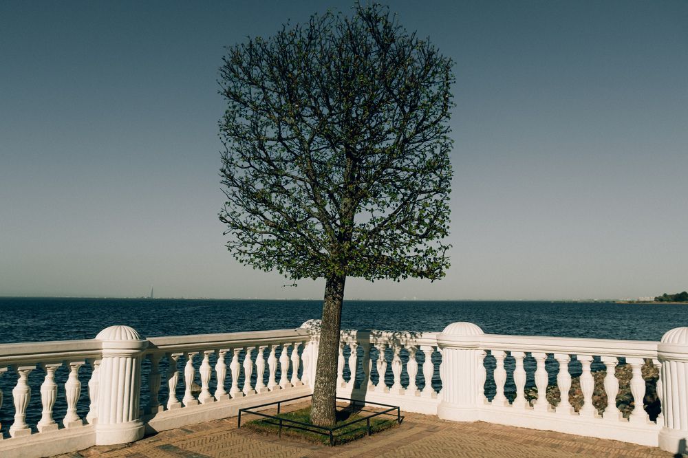 Photograph by Харламов Павел