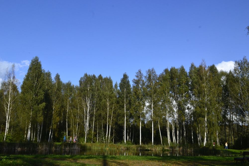 Photograph by igor lebedev