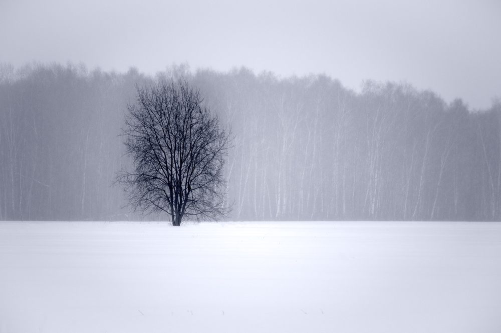 Photograph by Lyudmila Klimanova