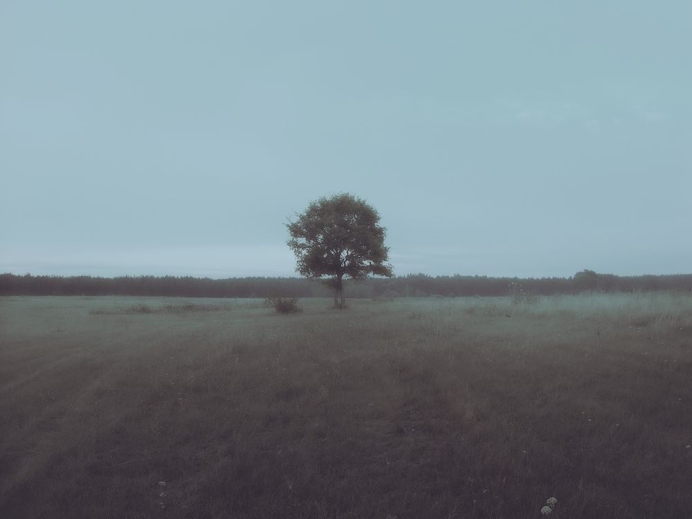 Фотография автора  Eirene