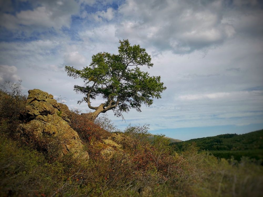 Photograph by Ольга Мажарук