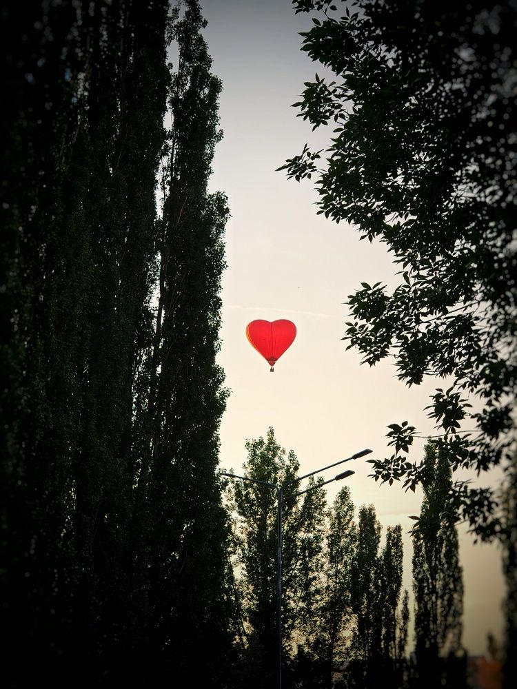 Photograph by Ольга Мажарук