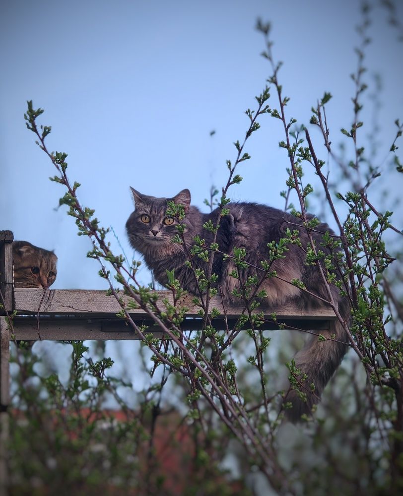 Photograph by Ольга Мажарук